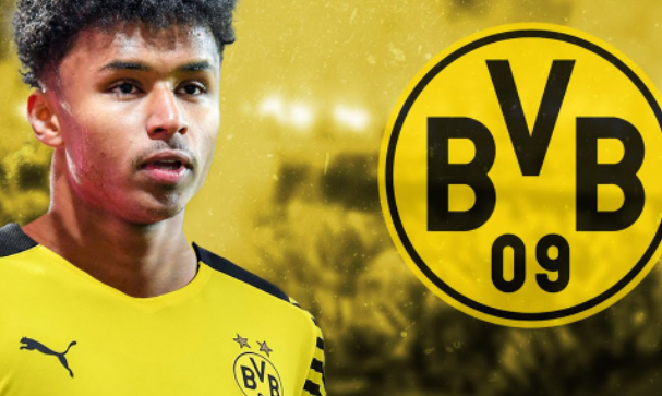 开云注册入口-菲尼克斯段子